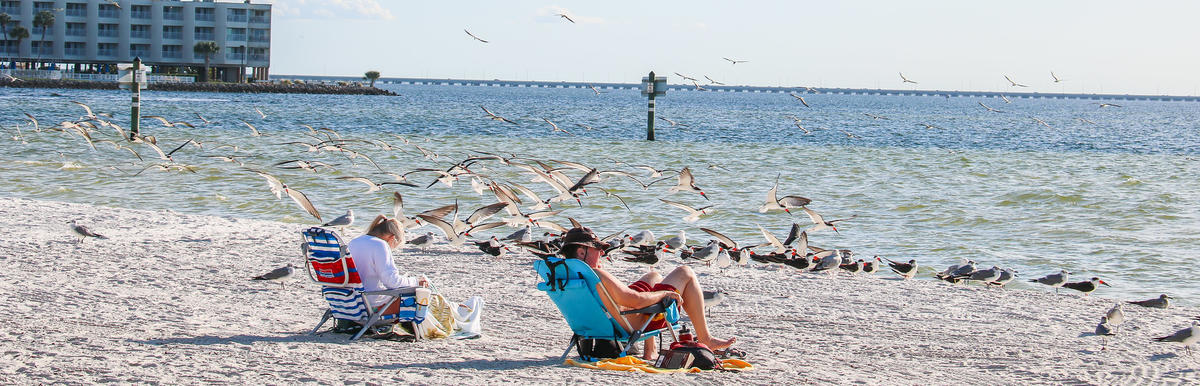 Ben T. Davis Beach